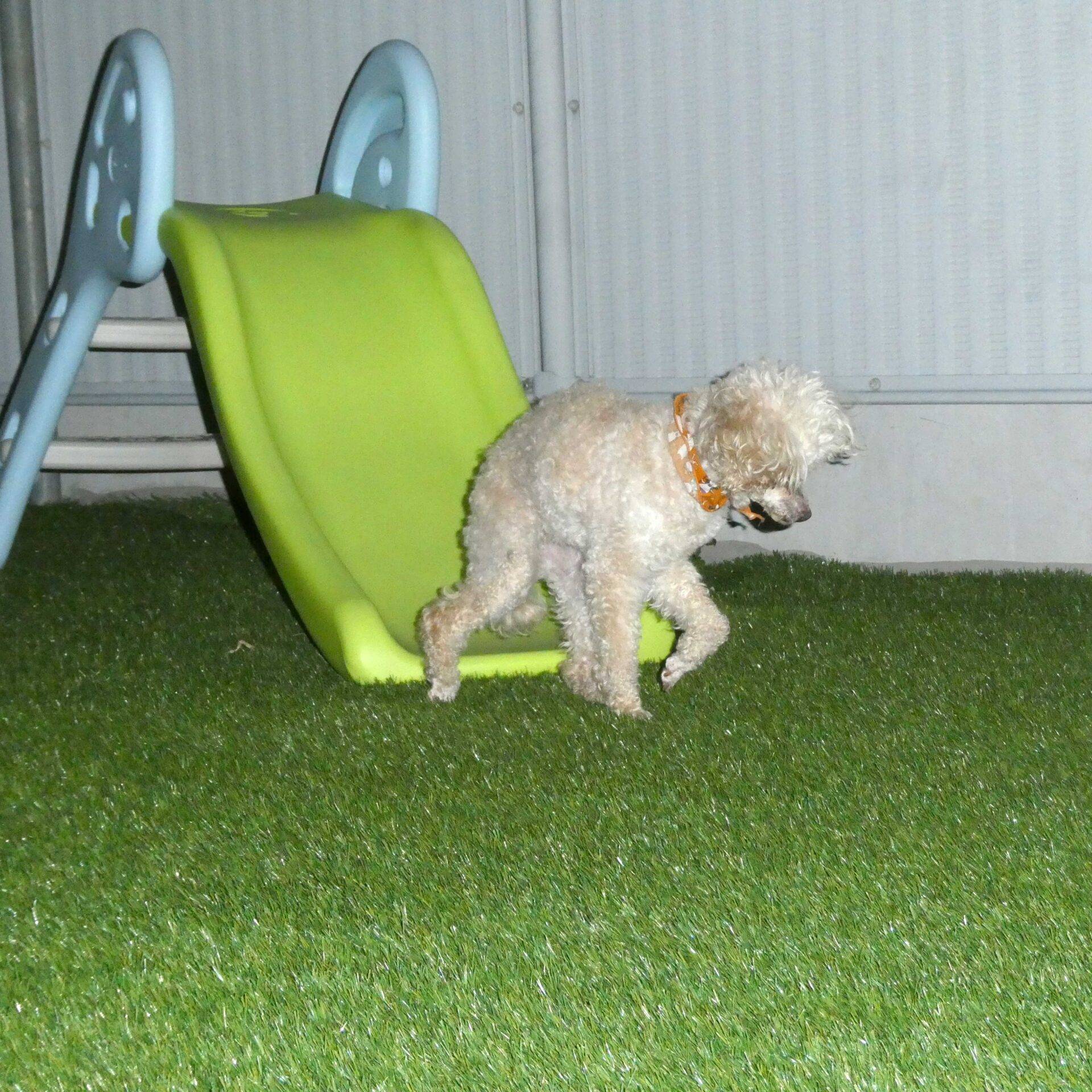 エリアP ナイター