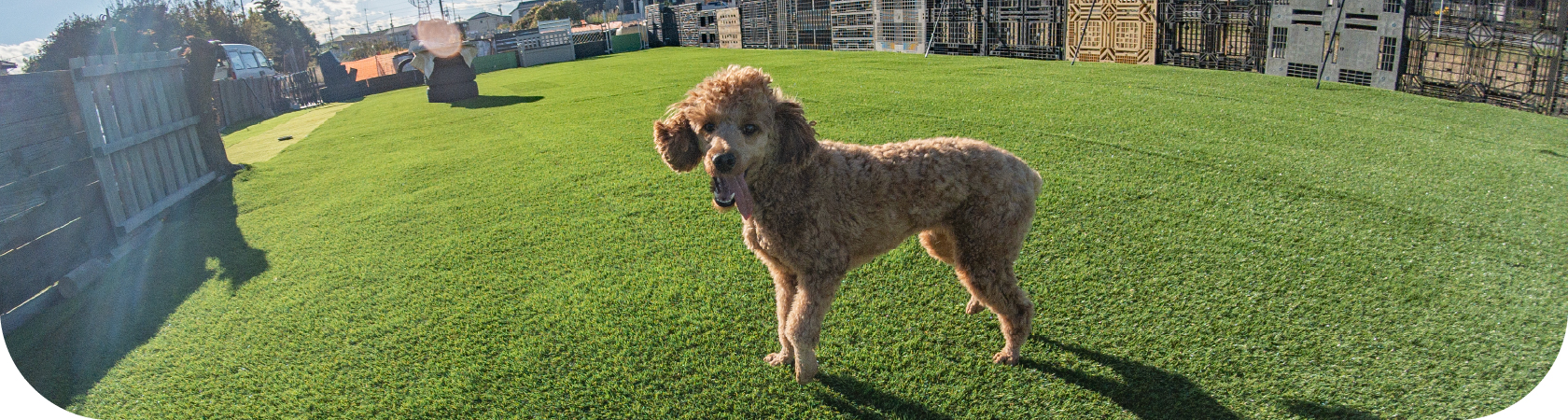 みどりのふれあいpark111